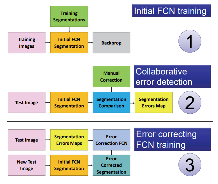 Collaborative FCN training