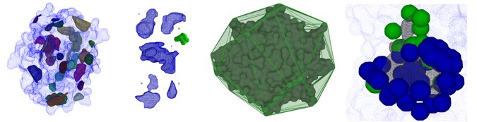 Segmentazione delle proteine